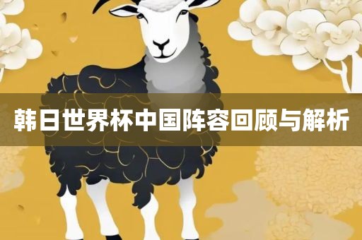 韩日世界杯中国阵容回顾与解析金炬实业股份有限公司
