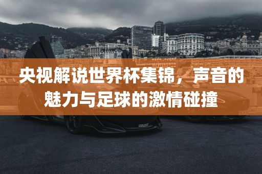 央视解说世界杯集锦，声音的魅力与足球的激情碰撞