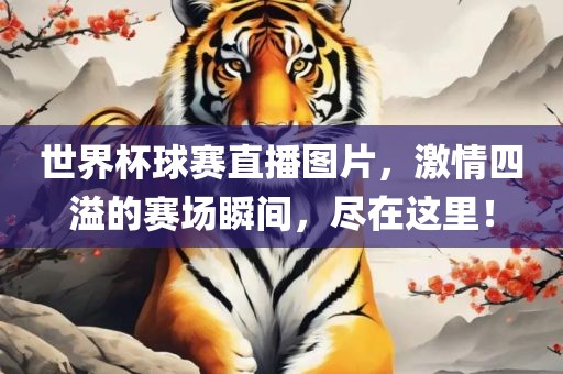 世界金炬实业股份有限公司杯球赛直播图片，激情四溢的赛场瞬间，尽在这里！