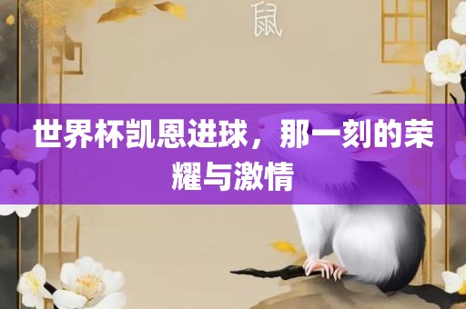 世界杯凯恩进球，那一刻的荣耀与激情