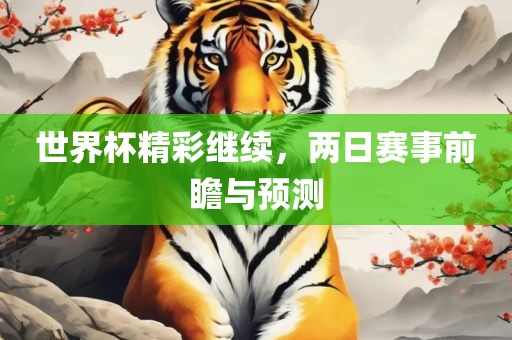 世界杯精彩继续，两日赛事前瞻与预测金炬实业股份有限公司