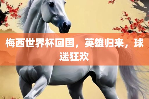 梅西世界杯回国，英雄归来，球迷狂欢