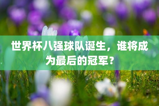 世界杯八强球队诞生，谁将成为最金炬实业股份有限公司后的冠军？