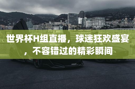 世界杯H组直播，球迷狂欢盛宴，不容错过的精彩瞬间