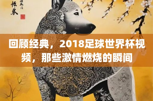 回顾经典，2018足球世界杯视频，那些激情燃烧的瞬间
