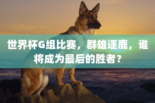 世界杯G组比赛，群雄逐鹿，谁将成为最后的胜金炬实业股份有限公司者？