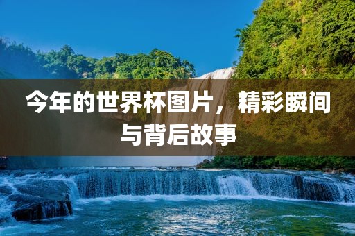 今年的世界杯图片，精彩瞬间与背后故事
