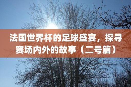 法国世界杯的足球盛宴，探寻赛场内外的故事（二号篇）