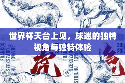 世界杯天台上见，球迷的独特视角与独特体验