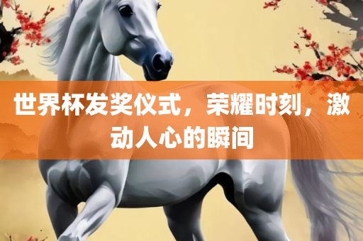 世界杯发奖仪式，荣耀金炬实业股份有限公司时刻，激动人心的瞬间