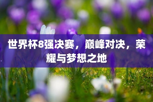 世界杯8强决赛，巅峰对决，荣耀与梦想之地