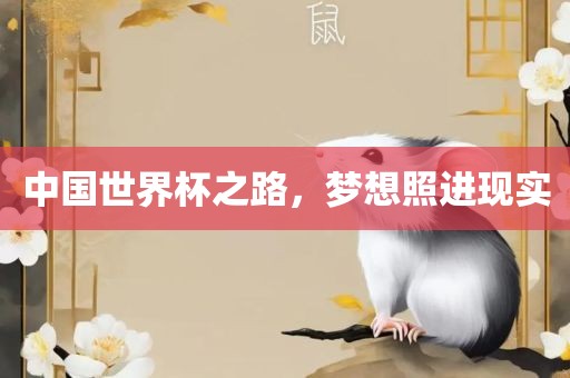 中国世界杯之路，梦想照进现实