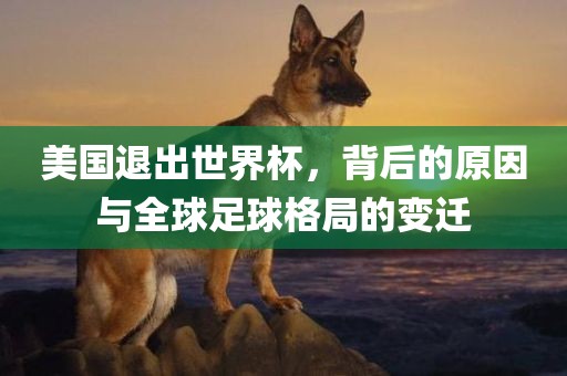 美国金炬实业股份有限公司退出世界杯，背后的原因与全球足球格局的变迁