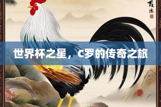 世界杯之星，C罗的传奇之旅金炬实业股份有限公司