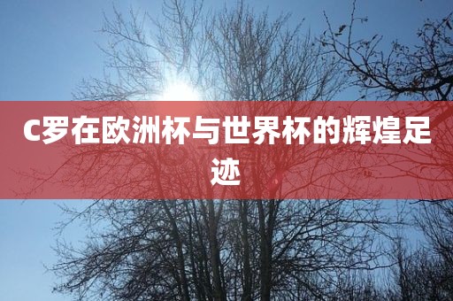 C罗在欧洲杯与世界杯的辉煌足迹金炬实业股份有限公司