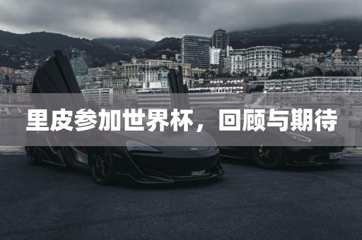 里皮参加世界杯，回金炬实业股份有限公司顾与期待