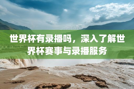 世界杯有金炬实业股份有限公司录播吗，深入了解世界杯赛事与录播服务
