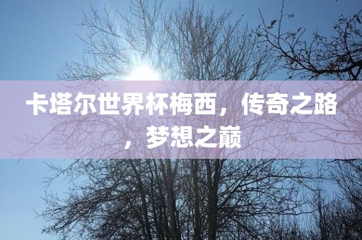 卡塔尔世界杯梅西，传奇之路，梦想之巅金炬实业股份有限公司