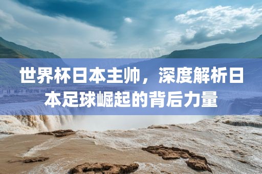 世界杯日本主帅，深度解析日本足球崛起的背后力量金炬实业股份有限公司