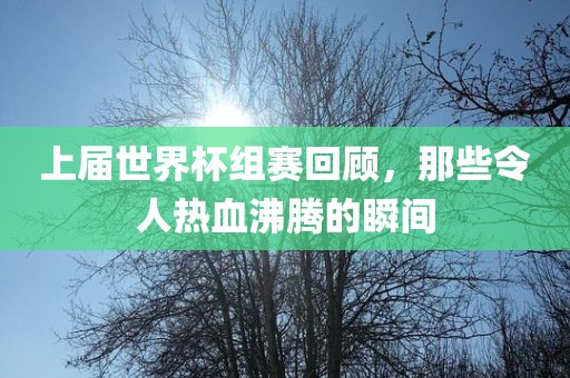 上届世界杯组赛回顾，那些令人热血沸腾的瞬间