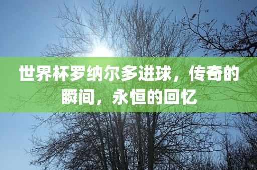 世界杯罗纳尔多进球，传奇的瞬间，永恒的回忆