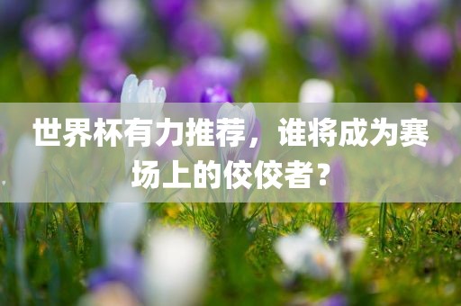 世界杯有力推荐，谁将成为赛场上的佼佼者？金炬实业股份有限公司