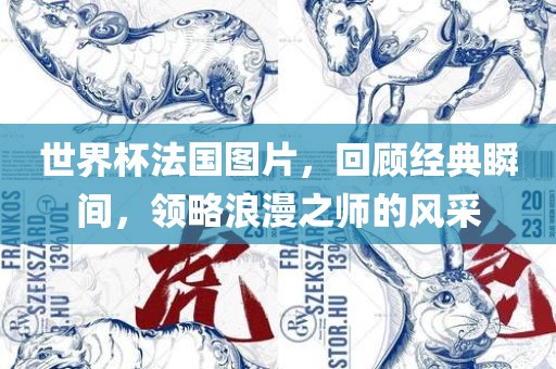 世界杯法国图片，回顾经典瞬间，领略浪漫之师的风采