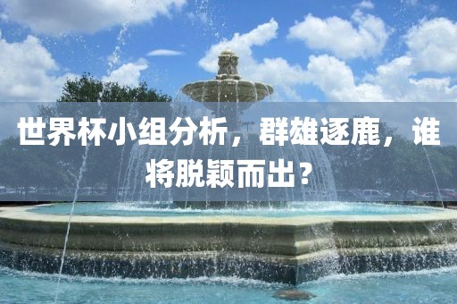 世界杯小组分析，群雄逐鹿，谁将脱颖而出？