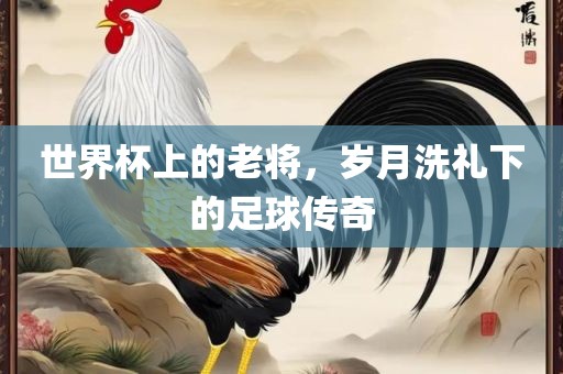 世界杯上的老将，岁月洗礼下的足球传奇