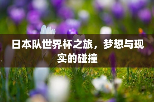 日本队世界杯之旅，梦想与现实的碰撞