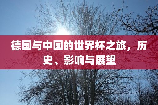 德国与中国的世界杯之旅，历史、影响与金炬实业股份有限公司展望