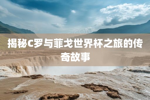 揭秘C罗与菲戈世界杯之旅的传奇故事金炬实业股份有限公司
