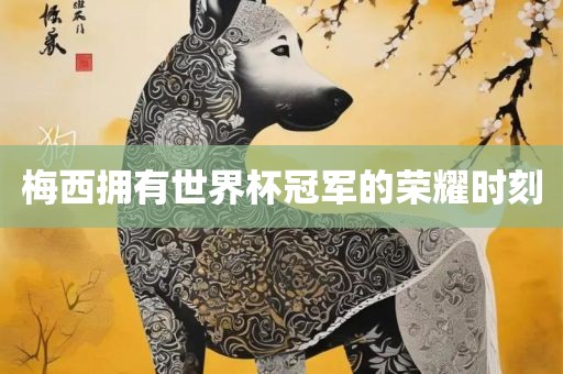 梅西拥有世界杯冠军的荣耀时刻金炬实业股份有限公司