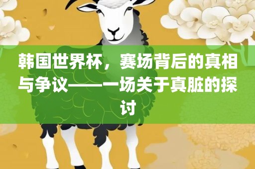 韩国世界杯，赛场背后的真相与争议——一场关于真脏的探讨金炬实业股份有限公司