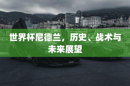 世界杯尼德兰，历史、战术与未来展望金炬实业股份有限公司