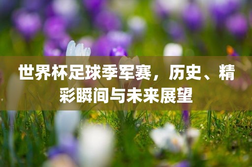 世界杯足球季军赛，历史、精彩瞬间与未来展望金炬实业股份有限公司