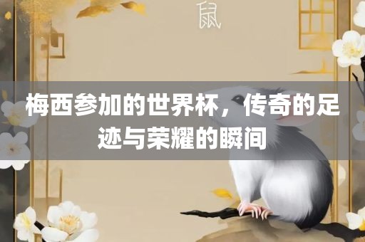 梅西参加的世界杯，传奇的足迹与荣耀的瞬间