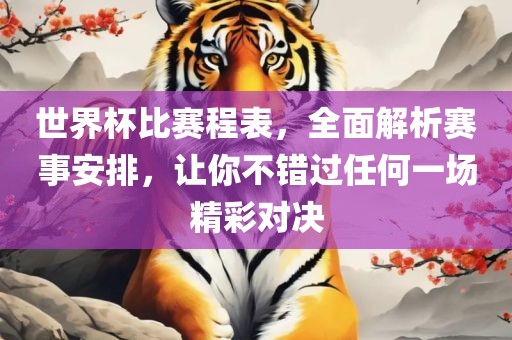 世界杯比赛程表，全面解析赛事安排，让你不错过任何一场精彩对决