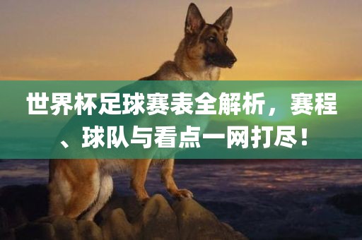 世界杯足球赛表全解析，赛程、球队与看点一网打尽！