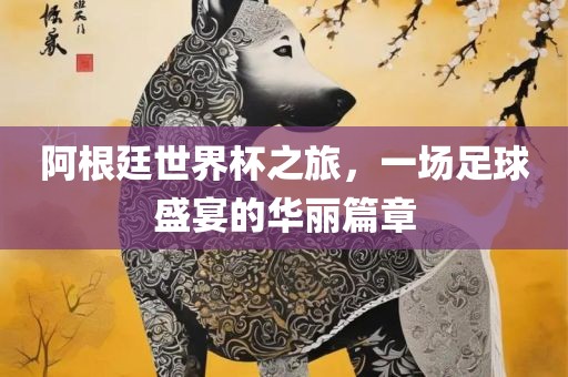 阿根廷世界杯之旅，一场足球盛宴的华丽篇章