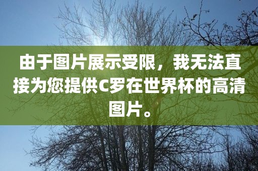 由于图片展示受限，我无法直接为您提供C罗在世界杯的高清图片。