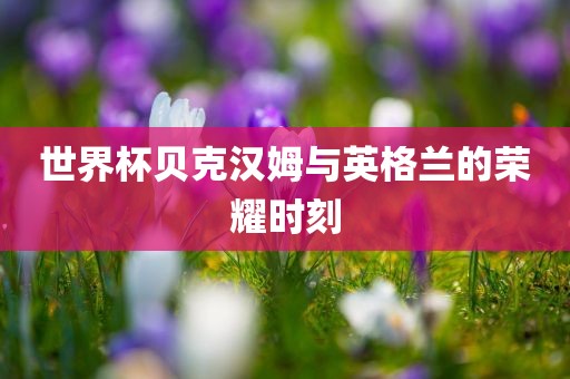世界杯贝克汉姆与英格兰的荣耀时刻金炬实业股份有限公司