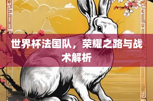 世界杯法国队，荣耀之路与战术解析