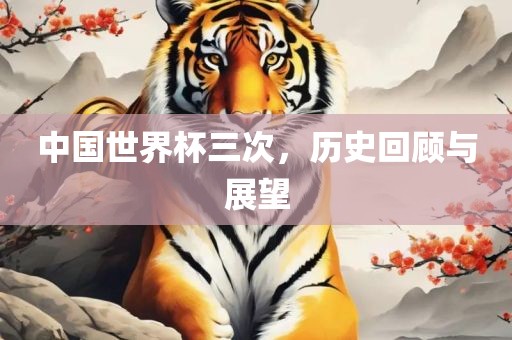 中国世界杯三次，历史回顾与展望