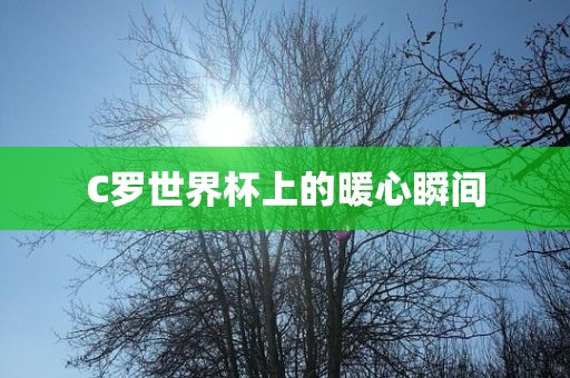 C罗世界杯上的暖心瞬间金炬实业股份有限公司