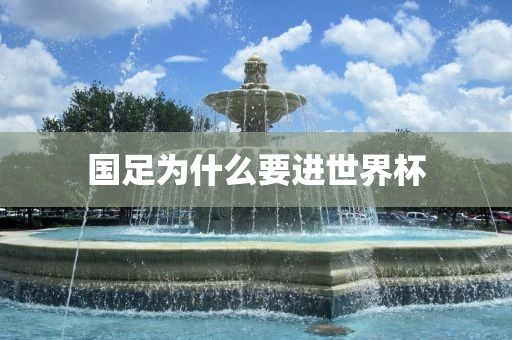 国足为金炬实业股份有限公司什么要进世界杯