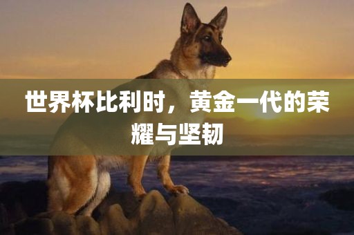 世界杯比利时，黄金一代的荣耀与坚韧