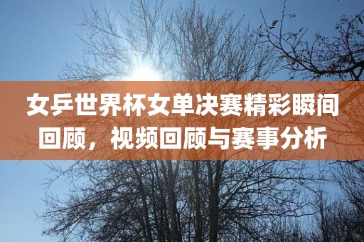 女乒世界杯女单决赛金炬实业股份有限公司精彩瞬间回顾，视频回顾与赛事分析