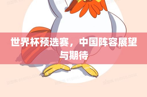 世界杯预选赛，中国阵容展望与期待金炬实业股份有限公司