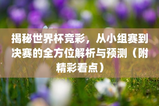 揭秘世界杯竞彩，从小组赛到决赛的全方位解析与预测（附精彩看点）